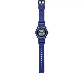 WS-1300H-2A Casio Standard Férfi karóra